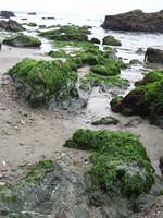 IMG_7943.JPG