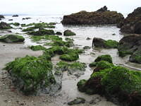 IMG_7944.JPG