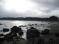 IMG_7945.JPG