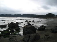 IMG_7949.JPG