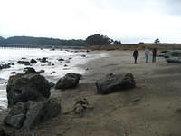 IMG_7950.JPG