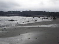 IMG_7952.JPG