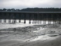 IMG_7956.JPG