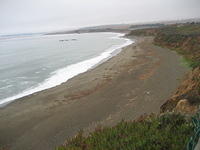 IMG_8024.JPG