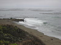 IMG_8025.JPG