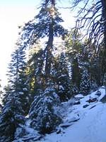 IMG_5087.jpg
