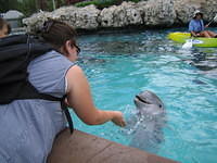 IMG_1485.jpg
