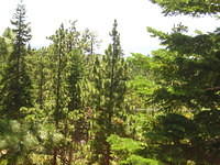 IMG_5233.JPG