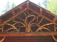 IMG_5316.JPG