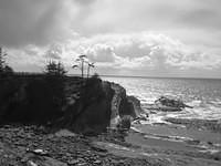 IMG_0176.jpg