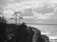 IMG_0177.jpg