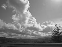 IMG_0211.jpg