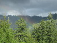 IMG_0218.jpg