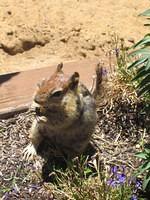 IMG_3931.JPG
