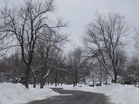 IMG_0584.JPG