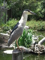 IMG_1221.JPG