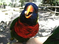 IMG_1226.JPG