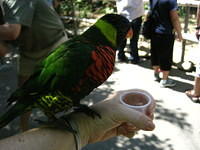 IMG_1230.JPG
