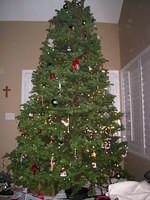 IMG_6517.JPG