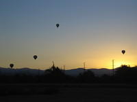 IMG_4921.jpg