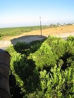IMG_4952.jpg