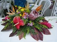 DSC01021.JPG