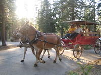 IMG_4692.jpg