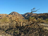 153-5368_IMG.JPG