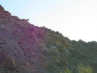 153-5370_IMG.JPG