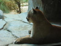 153-5371_IMG.JPG