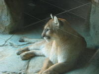 153-5373_IMG.JPG