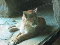 153-5375_IMG.JPG