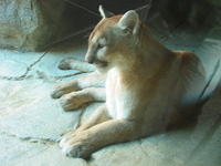 153-5377_IMG.JPG