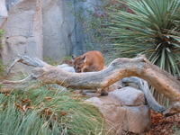 153-5379_IMG.JPG