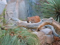 153-5380_IMG.JPG