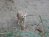 153-5383_IMG.JPG