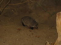 153-5386_IMG.JPG