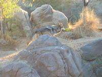 153-5393_IMG.JPG