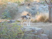 153-5394_IMG.JPG