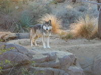 153-5395_IMG.JPG