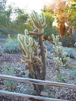 153-5399_IMG.JPG