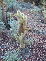 154-5401_IMG.JPG