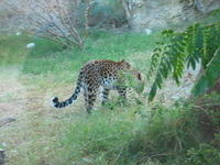 154-5405_IMG.JPG