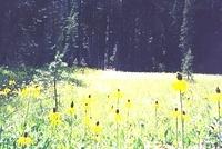 28March035.jpg