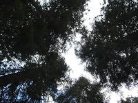 June 2006 131.jpg