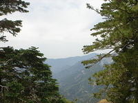 June 2006 139