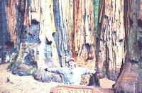 Album31.jpg