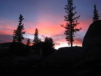 IMG_2421.JPG