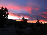 IMG_2427.JPG