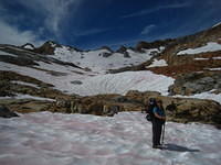 IMG_2456.JPG